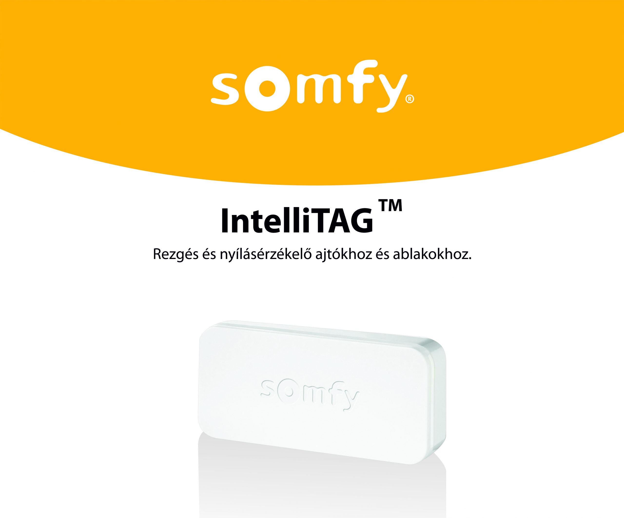 Intellitag ™ Érzékelő belső vagy külső ajtóhoz, ablakhoz, Kompatibilis Somfy Home Alarm, Somfy One, Somfy One +