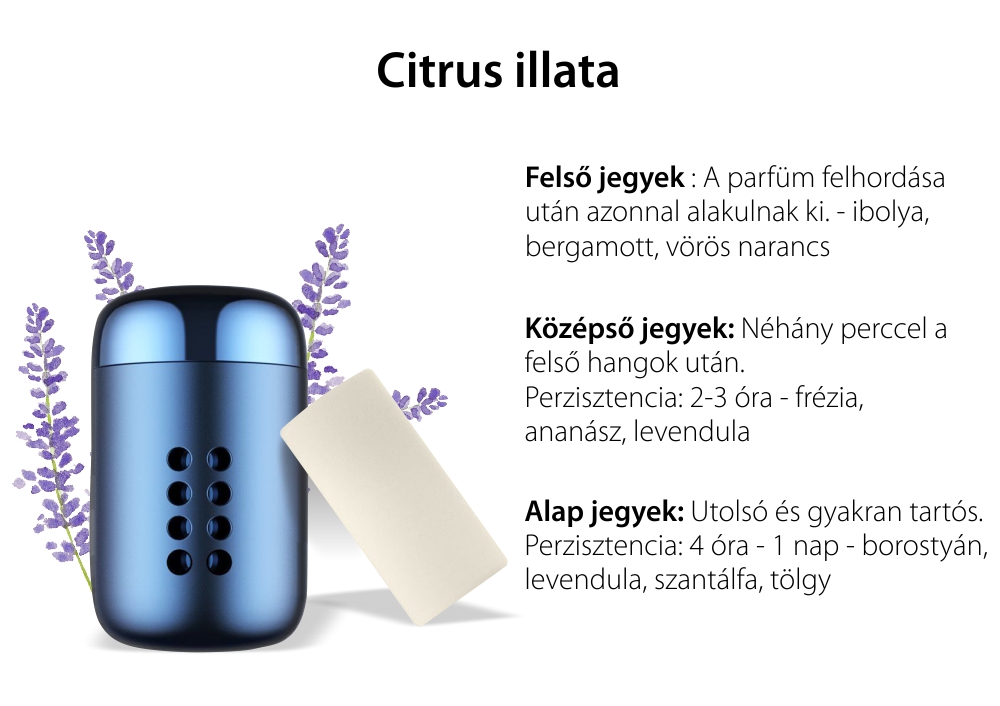 Autóillatosító Auto Baseus Little Fatty Mini, SUXUN-PDA03, 5 illatos pirula, Kék