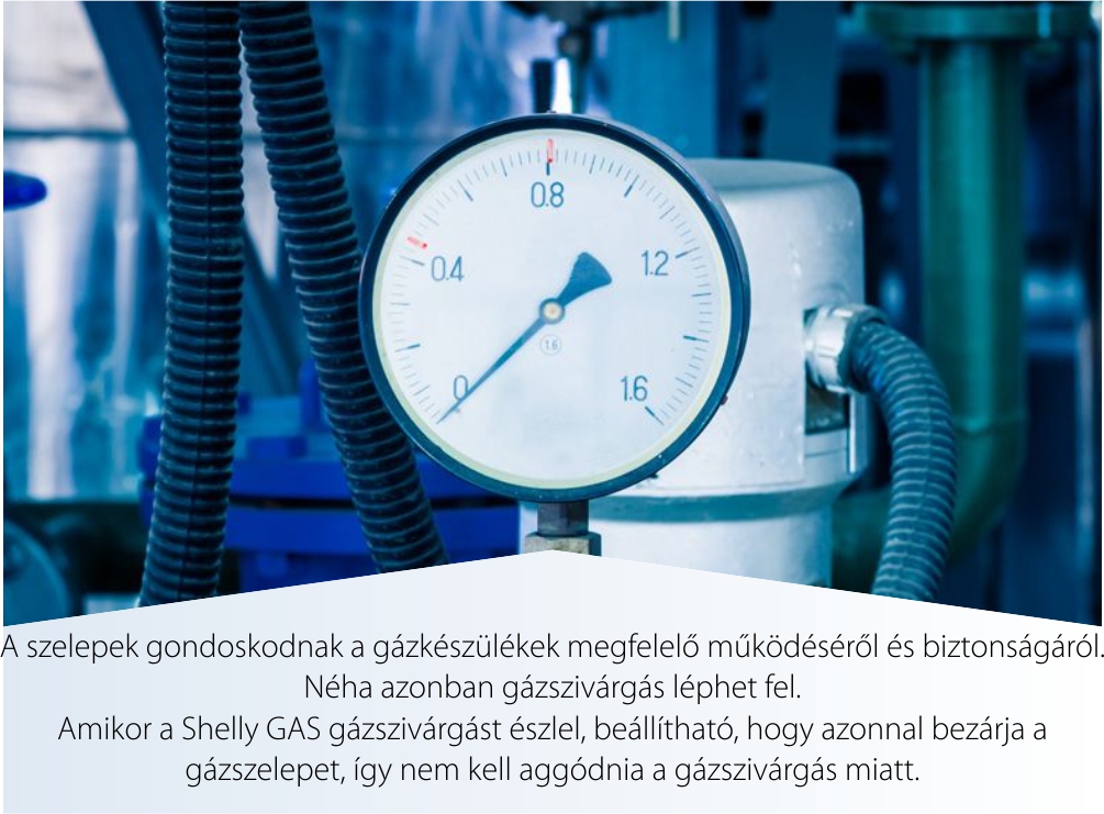 Shelly Gas Cng Sűrített Földgázdetektor Érzékelő, Vezeték Nélküli, 70 Db-es Riasztás, Alkalmazási Értesítések