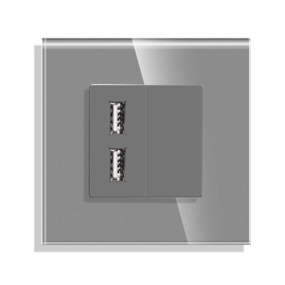 Luxion USB Fali Töltőaljzat Üvegkerettel culoare gri